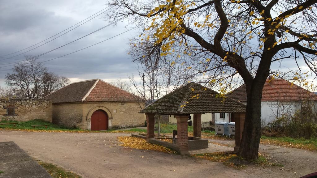 Country House Dunjin Konak Rogljevo Esterno foto