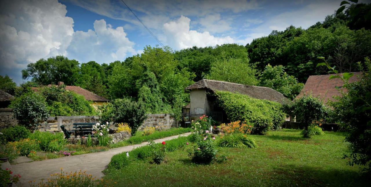 Country House Dunjin Konak Rogljevo Esterno foto